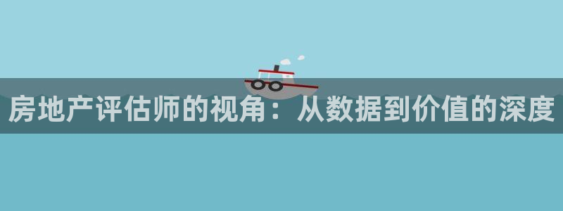 新宝测速5：房地产评估师的视角：从数据到价值的深度
