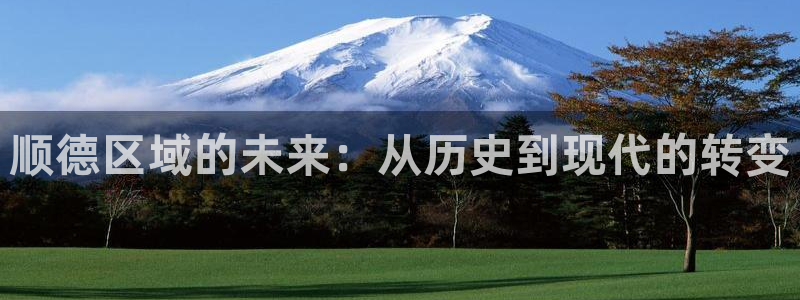 新宝5娱乐招商：顺德区域的未来：从历史到现代的转变