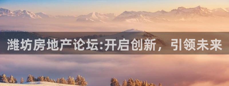 新宝5湫333 00：潍坊房地产论坛:开启创新，引领未来