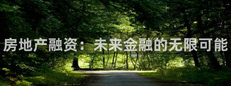 新宝5平台注册公司：房地产融资：未来金融的无限可能