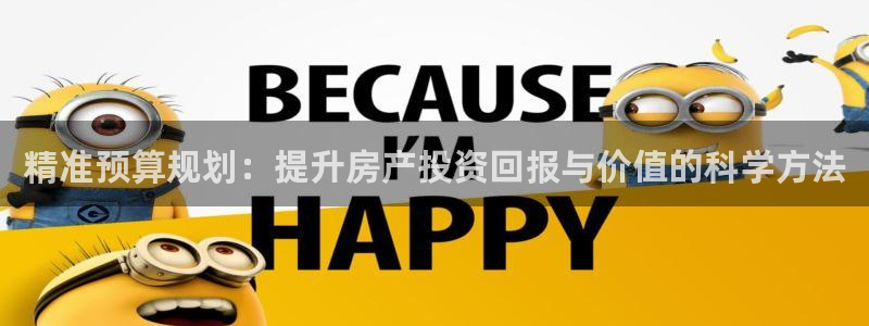 新宝5登录：精准预算规划：提升房产投资回报与价值的科学方法