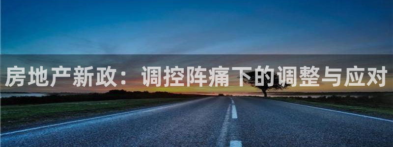 p5r新宝魔：房地产新政：调控阵痛下的调整与应对