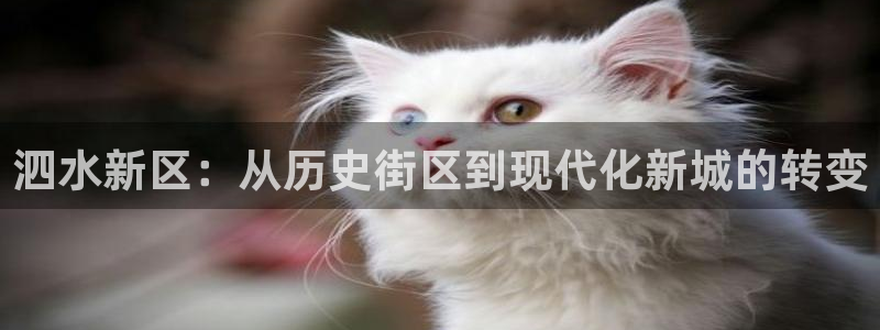 新宝5手机登陆：泗水新区：从历史街区到现代化新城的转变