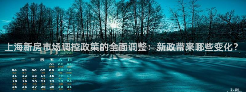 新宝5-：上海新房市场调控政策的全面调整：新政带来哪些变化？