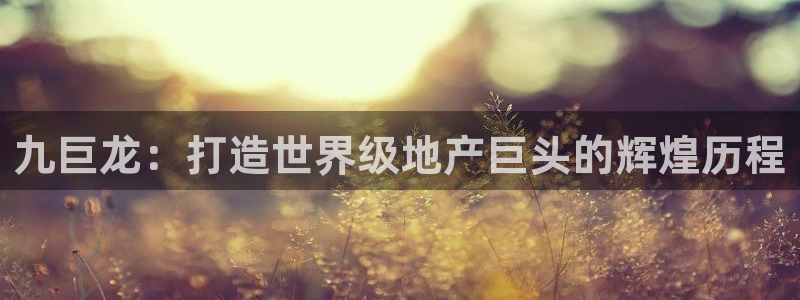 新宝5日谢29999：九巨龙：打造世界级地产巨头的辉煌历程