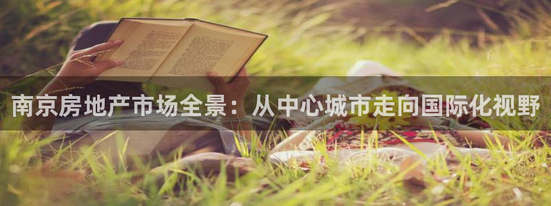 新宝5代理：南京房地产市场全景：从中心城市走向国际化视野