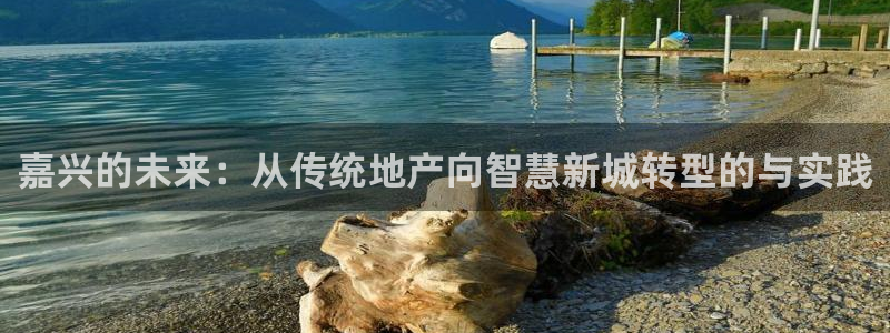 新宝股东张听2 5 5：嘉兴的未来：从传统地产向智慧新城转型