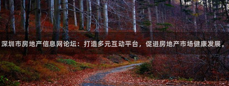 新宝5平棋牌：深圳市房地产信息网论坛：打造多元互动平台，促进