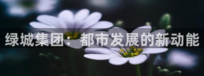 新宝5主管：绿城集团：都市发展的新动能