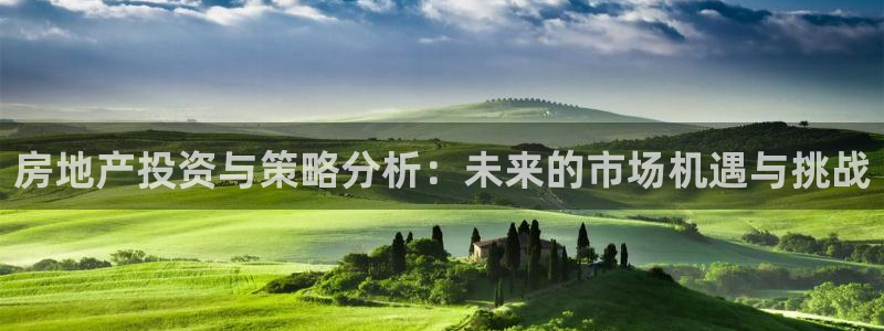新宝5测速登录：房地产投资与策略分析：未来的市场机遇与挑战