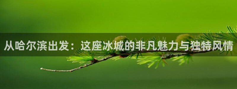 新宝j2O5O5O：从哈尔滨出发：这座冰城的非凡魅力与独特风