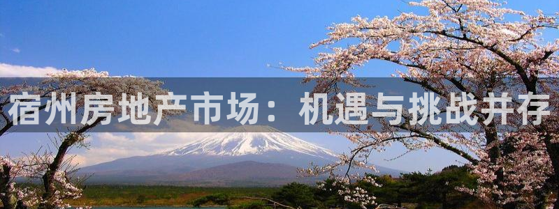 新宝5登陆