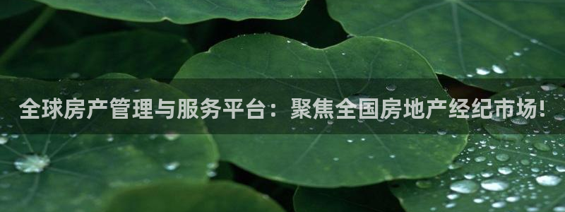 新宝5手机平台登陆：全球房产管理与服务平台：聚焦全国房地产经