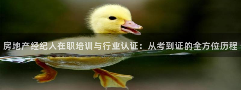 下载新宝5：房地产经纪人在职培训与行业认证：从考到证的全方位