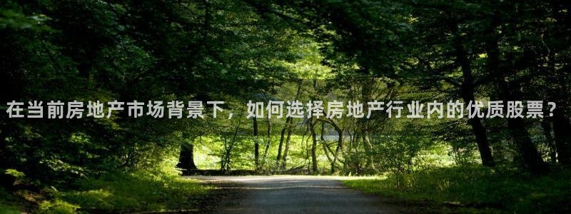 新宝娱乐5：在当前房地产市场背景下，如何选择房地产行业内的优