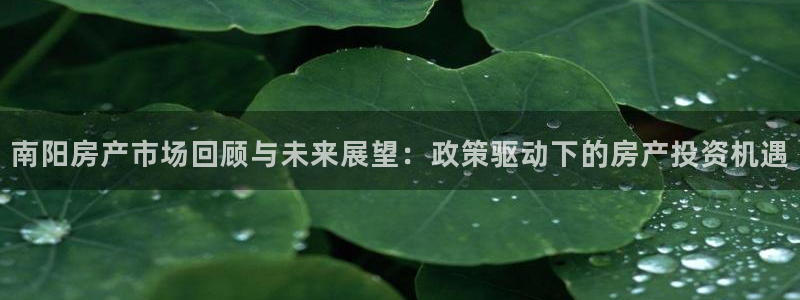 新宝5平台注册公司：南阳房产市场回顾与未来展望：政策驱动下的