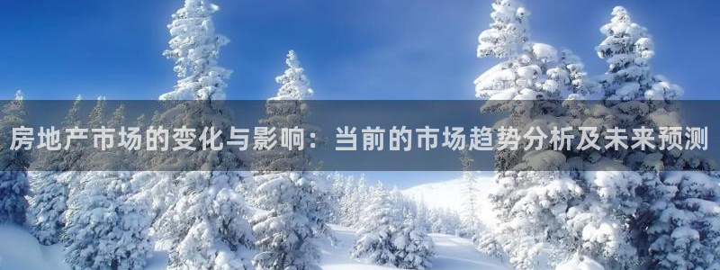 新宝5黑：房地产市场的变化与影响：当前的市场趋势分析及未来预