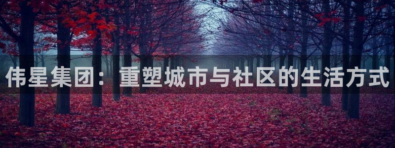 新宝5是谁：伟星集团：重塑城市与社区的生活方式