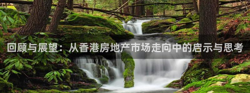 新宝5官网：回顾与展望：从香港房地产市场走向中的启示与思考