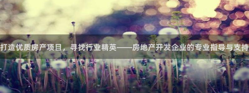 新宝5总代：打造优质房产项目，寻找行业精英——房地产开发企业