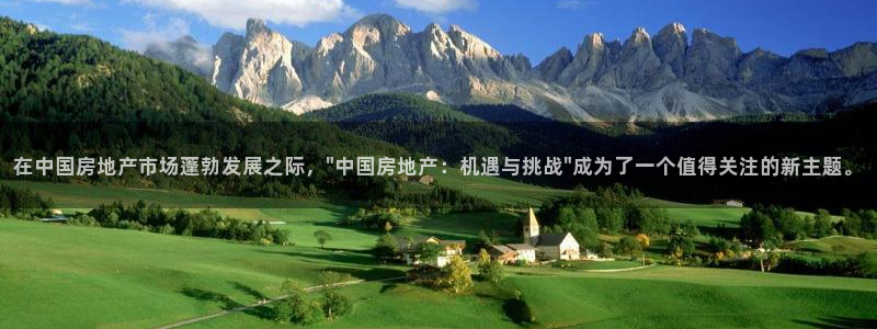下载新宝5：在中国房地产市场蓬勃发展之际，\