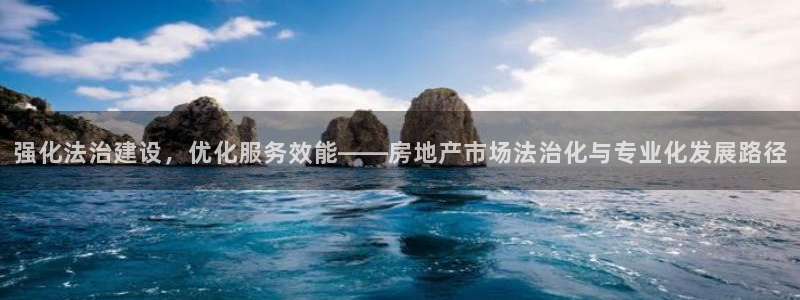 新宝5X：强化法治建设，优化服务效能——房地产市场法治化与专