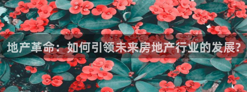 新宝5账号注册：地产革命：如何引领未来房地产行业的发展?