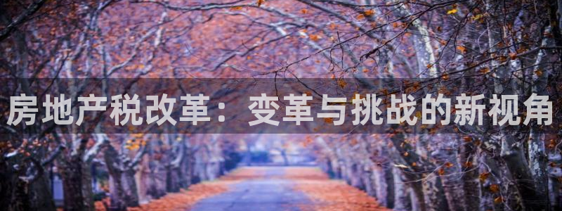 新宝5尤74OOO5：房地产税改革：变革与挑战的新视角