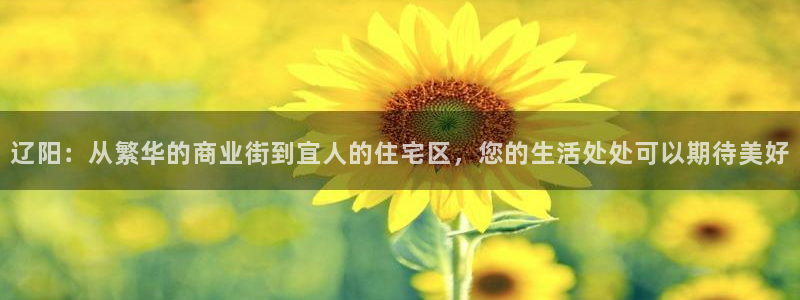 新宝 5测速：辽阳：从繁华的商业街到宜人的住宅区，您的生活处