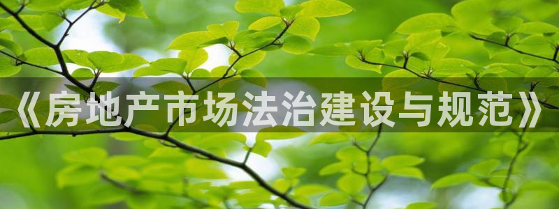 新宝5开户：《房地产市场法治建设与规范》