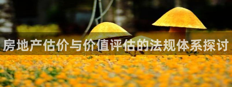 新宝5唯一：房地产估价与价值评估的法规体系探讨