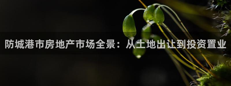 新宝5挂机：防城港市房地产市场全景：从土地出让到投资置业