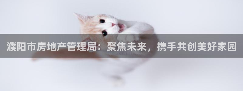 新宝5 测速：濮阳市房地产管理局：聚焦未来，携手共创美好家园