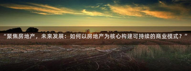 新宝 5测速：“聚焦房地产，未来发展：如何以房地产为核心构建