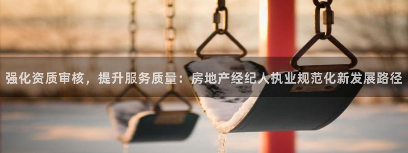 新宝_5：强化资质审核，提升服务质量：房地产经纪人执业规范化