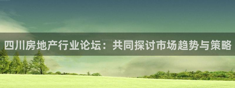 新宝5娱乐没：四川房地产行业论坛：共同探讨市场趋势与策略
