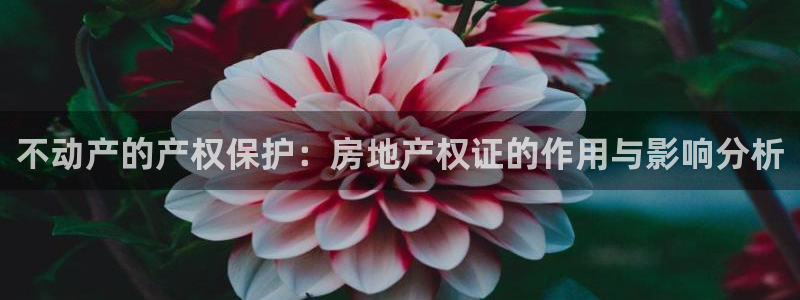 新宝5飞355051：不动产的产权保护：房地产权证的作用与影