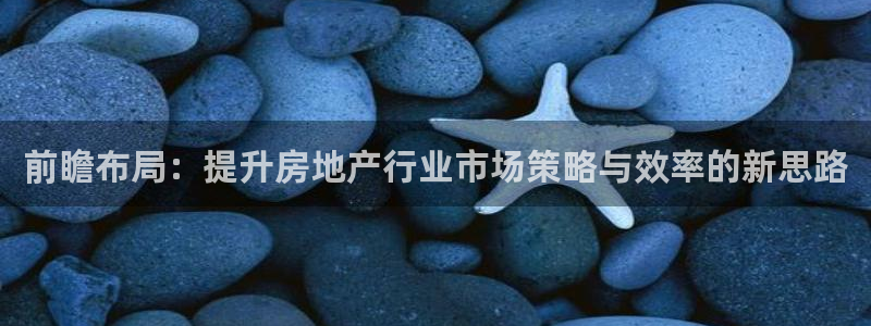 新宝堂新会陈皮5年：前瞻布局：提升房地产行业市场策略与效率的