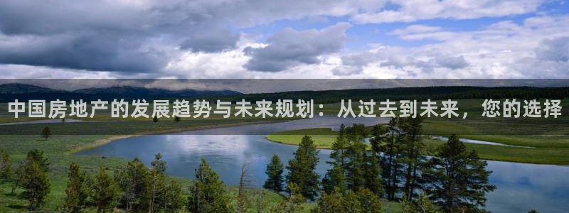 新宝5手机平台登陆：中国房地产的发展趋势与未来规划：从过去到
