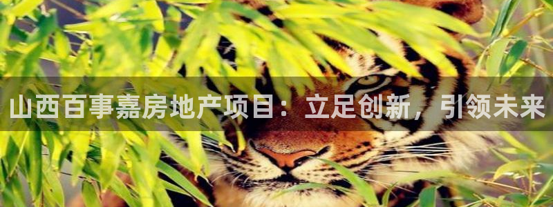 新5宝：山西百事嘉房地产项目：立足创新，引领未来