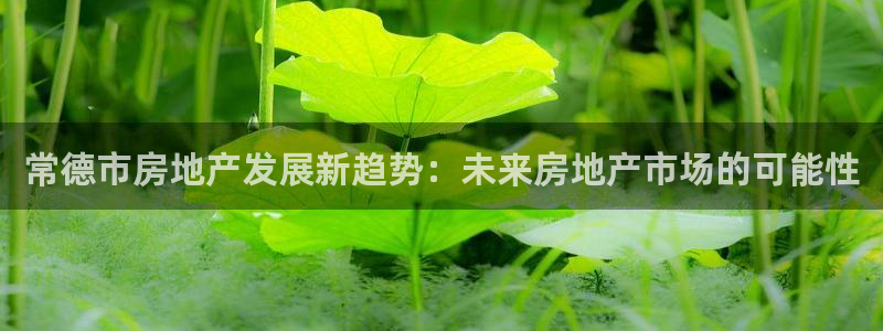 新宝5上70 667：常德市房地产发展新趋势：未来房地产市场